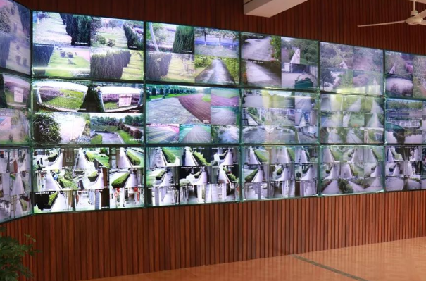 视频监控系统发展越越红火